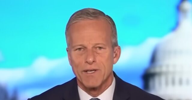 thune:-‘makes-a-lot-of-sense’-for-lindsey-graham’s-sister-to-serve-as-interim-senator