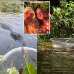 dim-witted-influencers-filmed-themselves-petting-alligators-days-after-deadly-attack