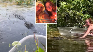 dim-witted-influencers-filmed-themselves-petting-alligators-days-after-deadly-attack