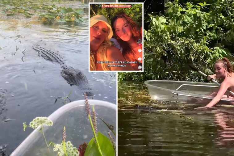dim-witted-influencers-filmed-themselves-petting-alligators-days-after-deadly-attack
