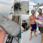 treasure-hunters-uncover-remarkable-prize-from-legendary-shipwreck-off-florida-keys