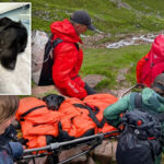 dog-has-‘bad-trip’-after-apparently-ingesting-cannabis-on-trail,-needing-a-rescue-after-she-couldn’t-walk