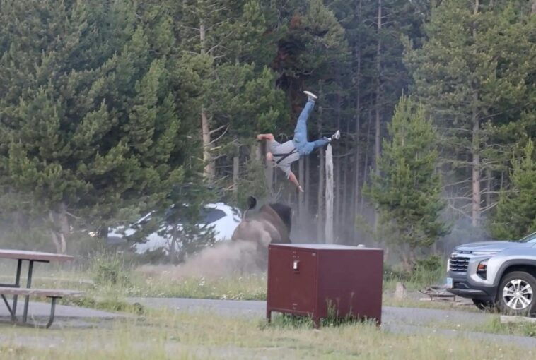 photographer-behind-viral-yellowstone-bison-attack-video-reveals-victim’s-first-words