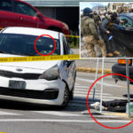 ice-told-to-halt-vehicle-stops-after-2-fatal-shootings,-as-agents-say-it-will-hamstring-them
