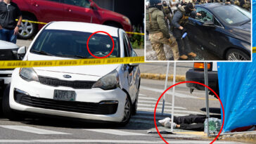 ice-told-to-halt-vehicle-stops-after-2-fatal-shootings,-as-agents-say-it-will-hamstring-them