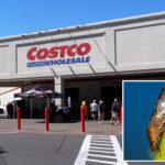 why-santa-clara-county-is-going-door-to-door-looking-for-costco-purchases
