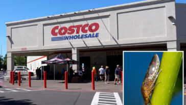 why-santa-clara-county-is-going-door-to-door-looking-for-costco-purchases
