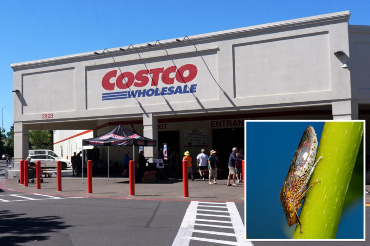 why-santa-clara-county-is-going-door-to-door-looking-for-costco-purchases