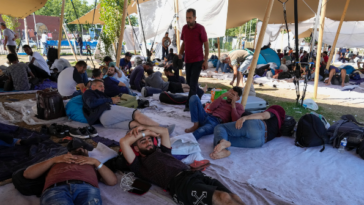 nolte:-trans-american-who-fled-to-netherlands-now-fears-violence-from-muslim-migrants
