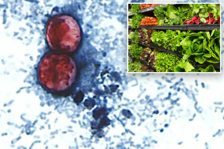 ‘explosive-diarrhea’-parasite-spreads-to-50-in-suffolk-county-as-long-island-deals-with-duel-outbreaks