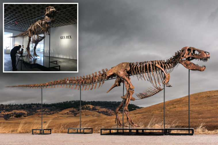 mystery-bidder-buys-‘gus’-the-t.-rex-for-a-record-$50m:-‘exceptional-find’