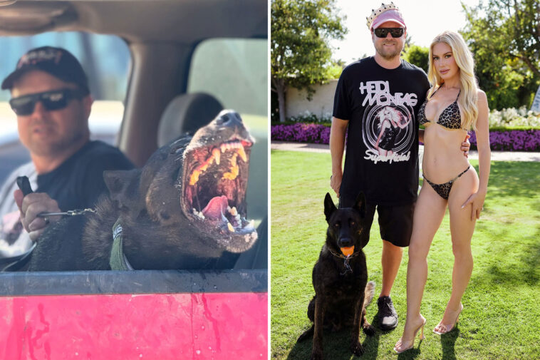ex-assistant-sues-spencer-pratt-and-heidi-montag-over-dog-bite-claims
