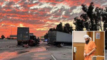 illegal-immigrant,-21,-trucker-gets-slap-on-the-wrist-sentence-after-horror-socal-crash-killed-3