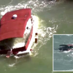 massive-sf-bay-rescue-underway-after-boat-overturns-near-alcatraz