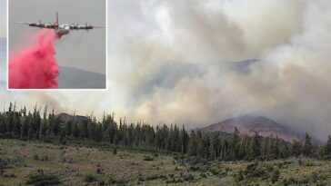 massive-elephant-fire-doubles-in-size-to-become-california’s-second-largest-blaze-of-the-year