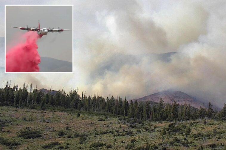 massive-elephant-fire-doubles-in-size-to-become-california’s-second-largest-blaze-of-the-year