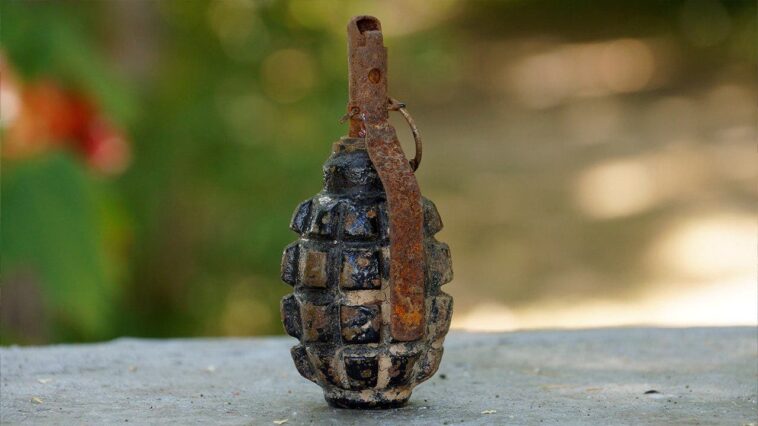 canadian-police-politely-ask-people-to-stop-bringing-them-unexploded-wwii-grenades