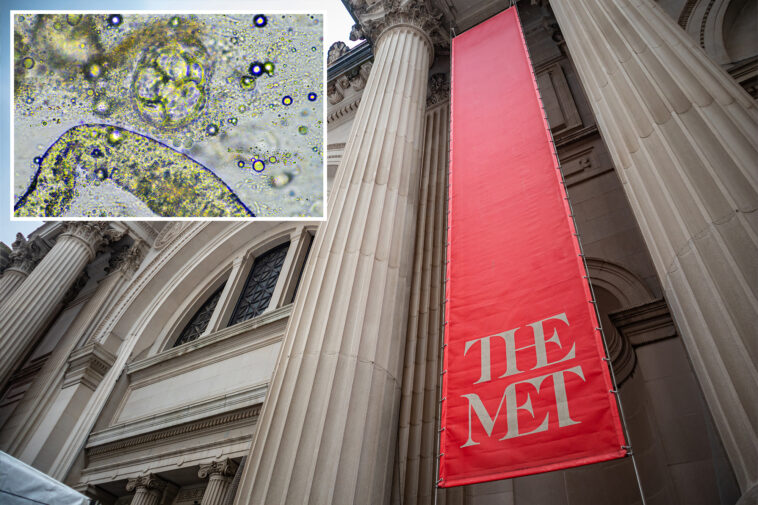 met-museum,-several-elite-nyc-prep-schools-among-76-buildings-positive-for-bacteria-behind-legionnaires’-outbreak