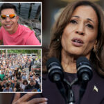 kamala-harris-slams-ice-agents-for-fatally-shooting-‘illegal-alien’-who-allegedly-tried-to-run-them-over