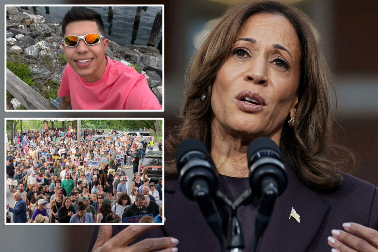 kamala-harris-slams-ice-agents-for-fatally-shooting-‘illegal-alien’-who-allegedly-tried-to-run-them-over