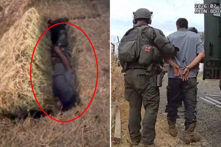 domestic-violence-suspect-hides-in-haystack-as-california-cops-use-clever-tactic-to-find-him