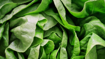 officials:-lettuce-or-salad-greens-linked-to-‘explosive’-diarrhea-outbreak-hitting-thousands-across-us.