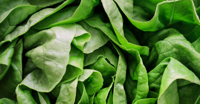 officials:-lettuce-or-salad-greens-linked-to-‘explosive’-diarrhea-outbreak-hitting-thousands-across-us.