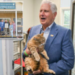 bruce-blakeman-calls-for-greater-animal-protections-after-155-neglected-cats,-dogs-rescued-from-li-hoarder’s-house-of-horrors