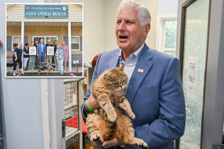 bruce-blakeman-calls-for-greater-animal-protections-after-155-neglected-cats,-dogs-rescued-from-li-hoarder’s-house-of-horrors