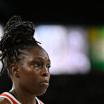 fan-fired-after-alleged-racist-message-to-wnba-player-chelsea-gray