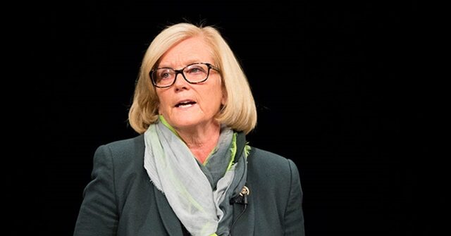 dem-rep.-pingree:-maine-ice-shooting-gives-dems-‘more-leverage’-to-‘shut-down-this-agency’