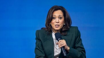 kamala-harris-lashes-out-after-another-illegal-is-killed-while-allegedly-trying-to-run-over-ice-agents