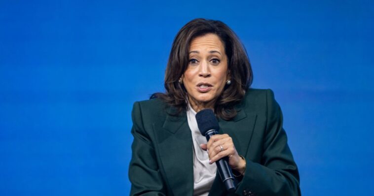 kamala-harris-lashes-out-after-another-illegal-is-killed-while-allegedly-trying-to-run-over-ice-agents