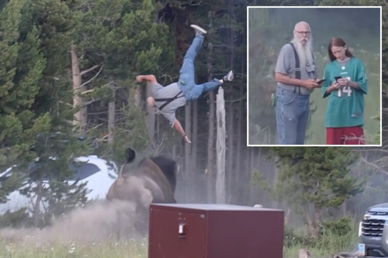 heroic-grandpa-lured-bison-away-from-grandson-before-it-tossed-him-8-feet-into-air-at-yellowstone,-photographer-reveals