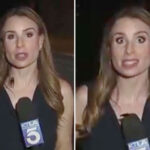 disgusting-moment-absolutely-massive-flying-cockroach-climbs-up-tv-reporter’s-chest-live-on-air