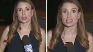 disgusting-moment-absolutely-massive-flying-cockroach-climbs-up-tv-reporter’s-chest-live-on-air