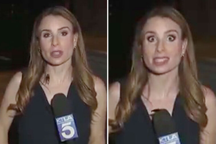 disgusting-moment-absolutely-massive-flying-cockroach-climbs-up-tv-reporter’s-chest-live-on-air