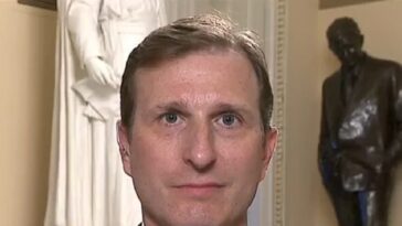 dem-rep.-goldman:-should-abolish-ice,-still-discussing-who-would-enforce-law-if-that-happens