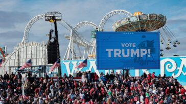 canadian-woman-accused-of-slapping-trump-supporting-teen-turned-over-to-ice