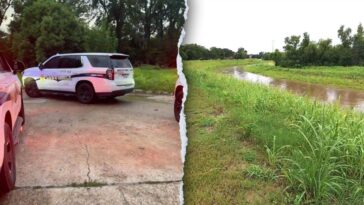 man-accused-of-attacking,-attempting-to-drown-female-jogger-along-houston-bayou:-police