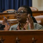 house-dem-calls-on-party-to-embrace-the-word-‘socialist’