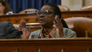 house-dem-calls-on-party-to-embrace-the-word-‘socialist’