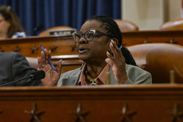 house-dem-calls-on-party-to-embrace-the-word-‘socialist’