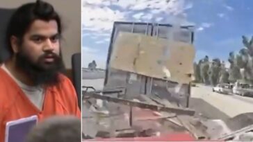 illegal-alien-trucker-who-caused-deadly-8-car-crash-learns-his-fate-in-court