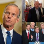 thune-unsure-‘any-one-person’-could-fill-void-left-by-sen.-graham’s-death:-‘really-effective-voice’