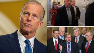 thune-unsure-‘any-one-person’-could-fill-void-left-by-sen.-graham’s-death:-‘really-effective-voice’