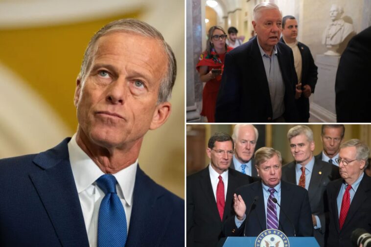 thune-unsure-‘any-one-person’-could-fill-void-left-by-sen.-graham’s-death:-‘really-effective-voice’