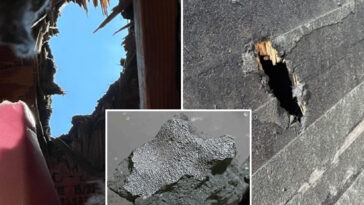 ‘alien-chemistry’-discovered-on-meteorite-that-plunged-through-new-jersey-home