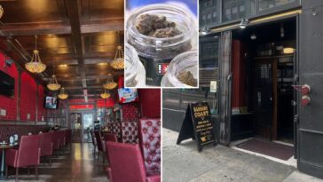 california-city-makes-final-ruling-on-amsterdam-style-cannabis-cafes