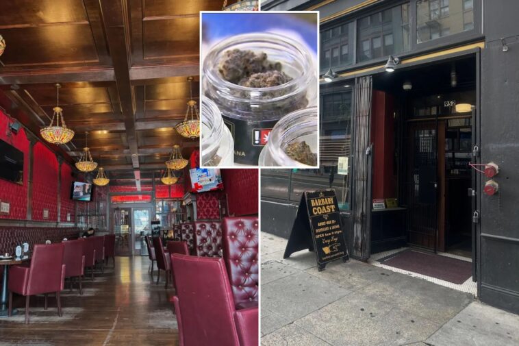 california-city-makes-final-ruling-on-amsterdam-style-cannabis-cafes